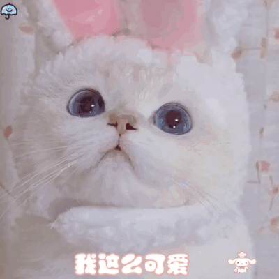 雨伞