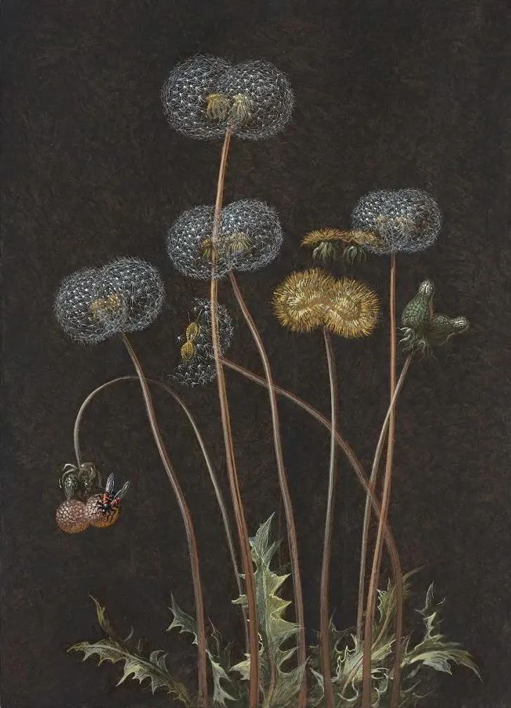 本次展出法国艺术家 Laurent Grasso 的全新系列「未来植物标本」，2009年开始发表的「研究过去」系列，以及影像装置「太阳风」等作品。