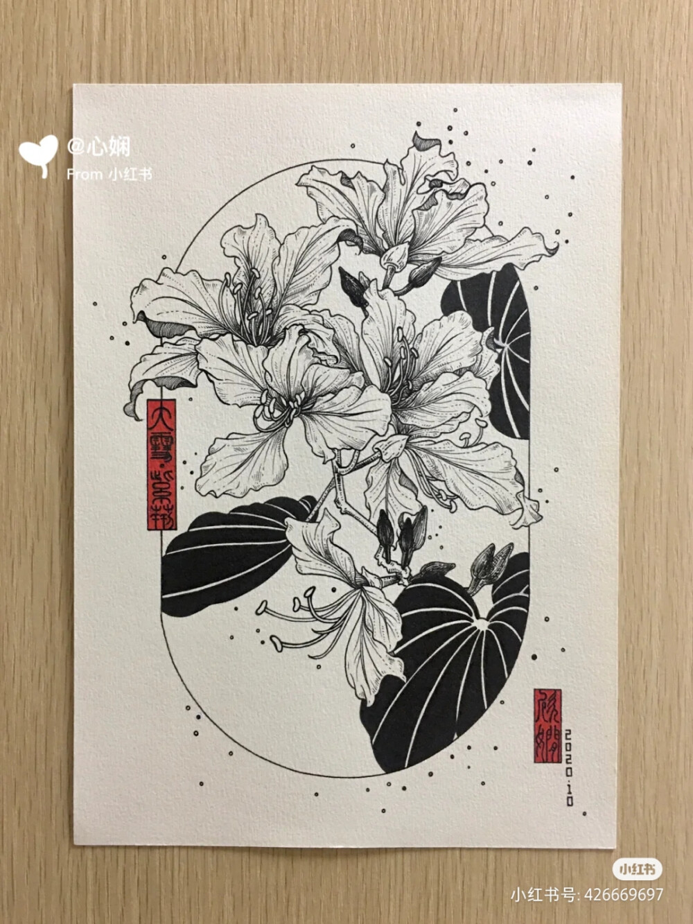 线描花卉 - 堆糖，美图壁纸兴趣社区