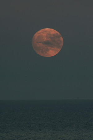 ᴍᴏᴏɴ ʜᴏᴛᴇʟ