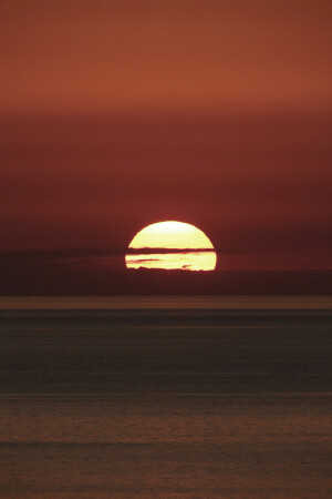 ᴍᴏᴏɴ ʜᴏᴛᴇʟ