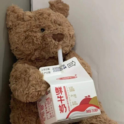 「jellycat巴塞罗那熊头像」
图源网络 素质取图！
dt啵兔甜酱