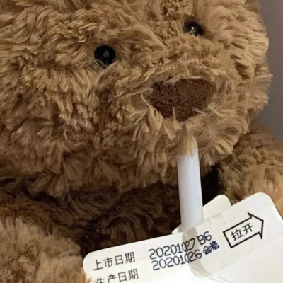 「jellycat巴塞罗那熊头像」
图源网络 素质取图！
dt啵兔甜酱