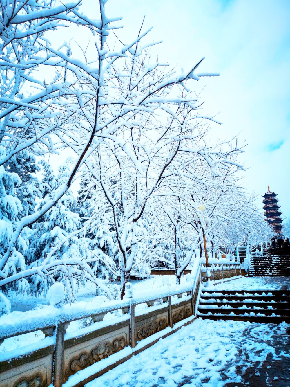 雪景