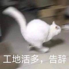 打咩