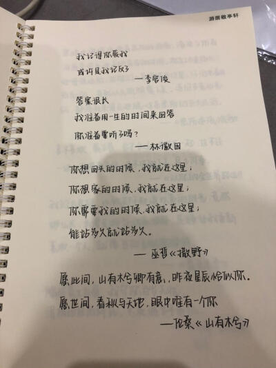 奶酪字体