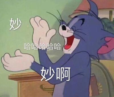 小猫咪表情包