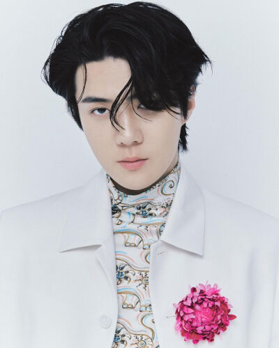 SEHUN XI