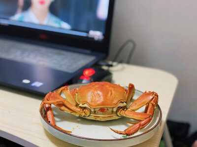 寿喜烧 阳澄湖大闸蟹 蛋糕 泡芙 甜品 年糕拉面锅 披萨 哈尔滨红肠炒饭