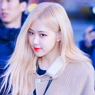 blackpink Rosé
©pasta02111997
简介.