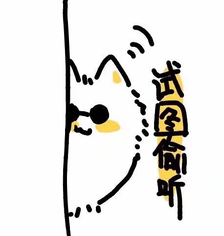 五条猫猫好耶