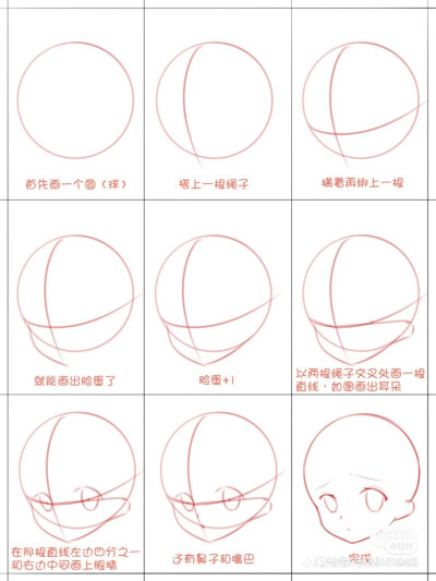 人体头部透视结构