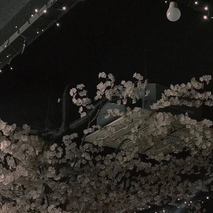 黑色背景壁纸