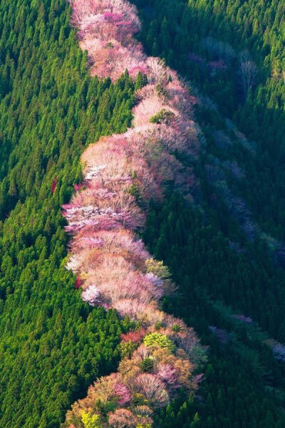 春夏秋冬