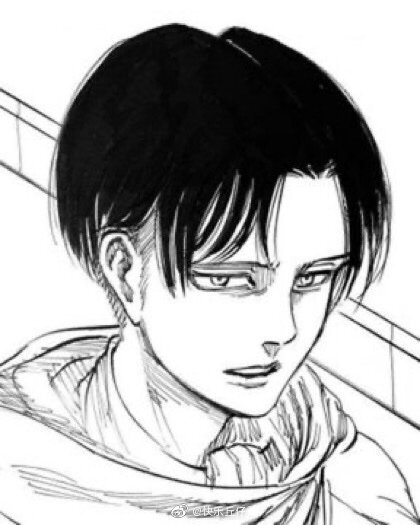 levi