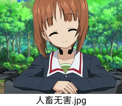 少女与战车表情包