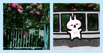 源自微博
by:安心队长