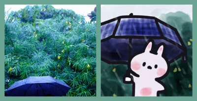 源自微博
by:安心队长