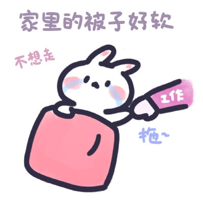 源自微博
by:安心队长