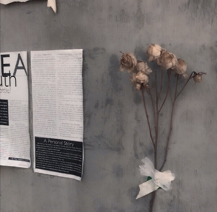 朴彩英头像
“谢谢你让我成为更好的人”
cr.my11ocean 朴彩英
背景图cr：顾依甜