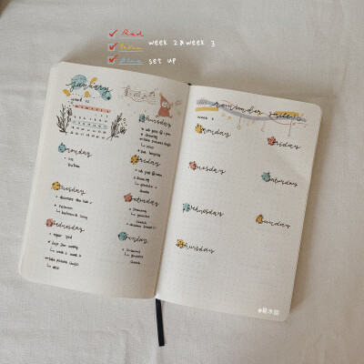 bujo