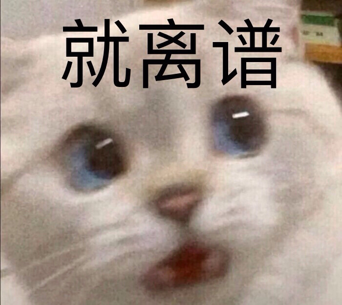 情侣专用表情包