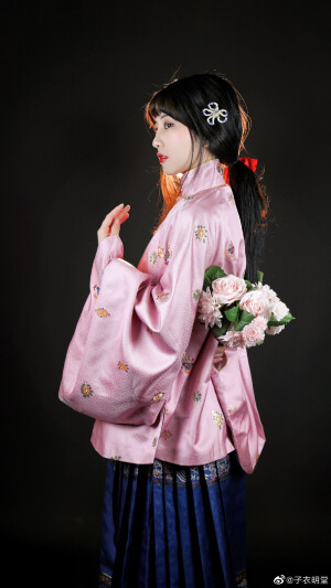 【子衣明堂】明制.回纹多宝.立领对襟琵琶袖短袄