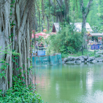 清新迷人风景