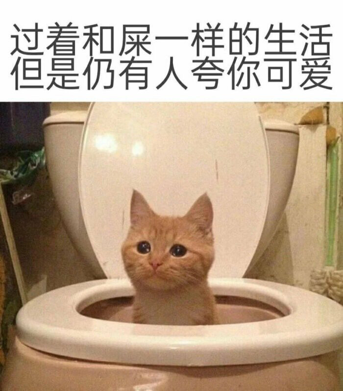 表情包