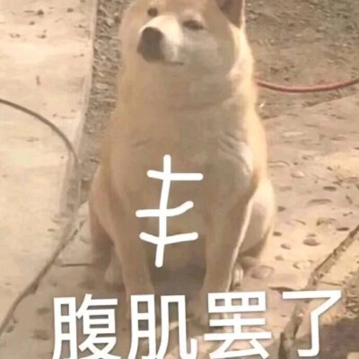 表情包