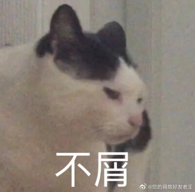 表情包