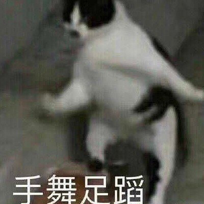 表情包