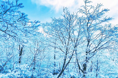 雪景