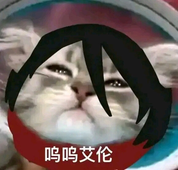 艾笠