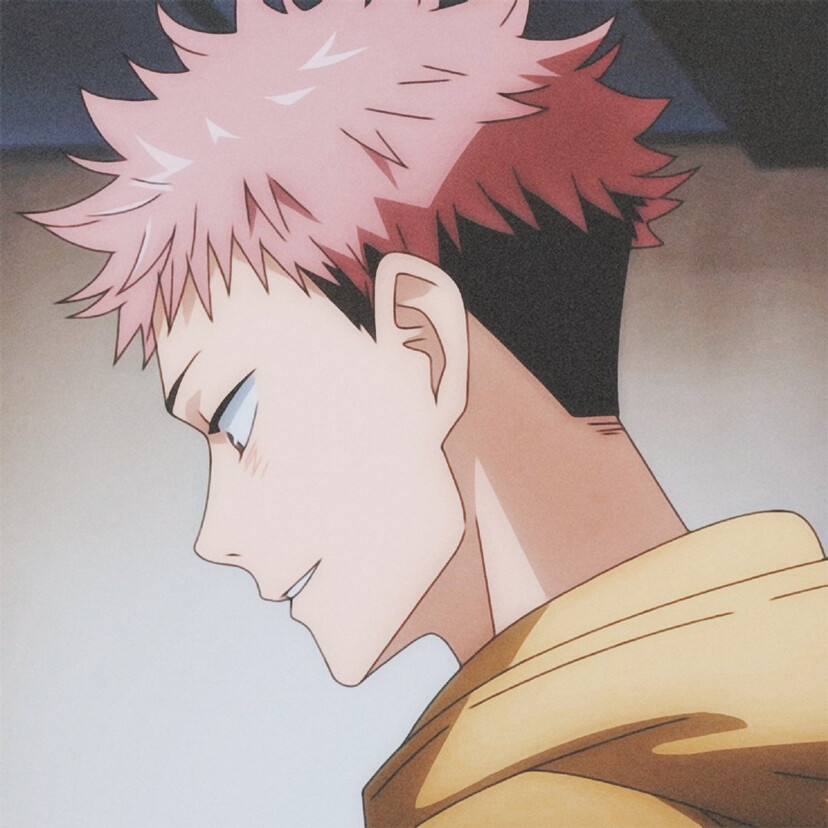 虎杖悠仁纯虎子