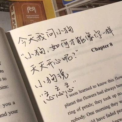 “世间美好是善意的温柔和及时赶到的你”
女生头像/江柒甜
原截蒙蒙