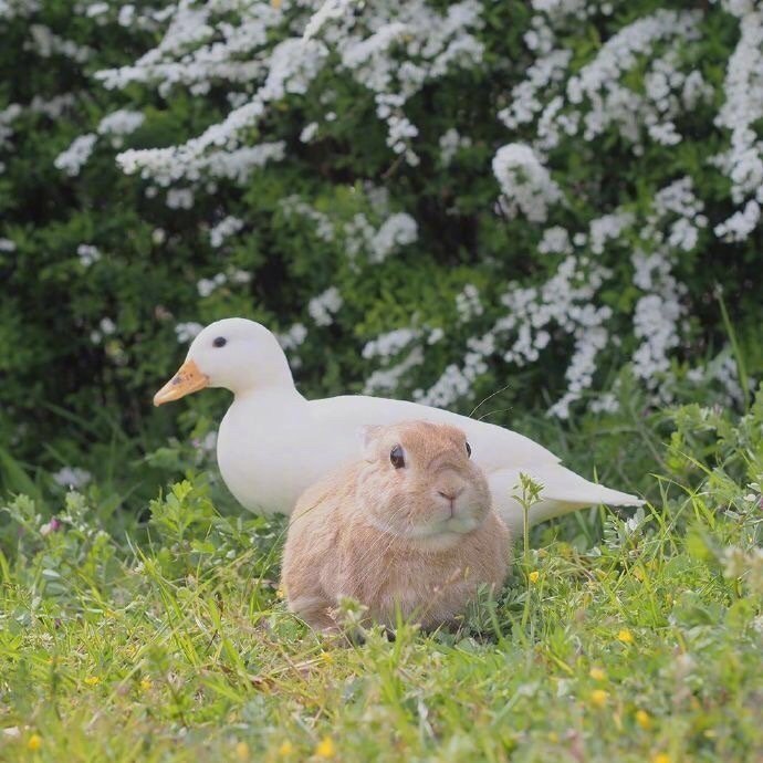 小伙伴