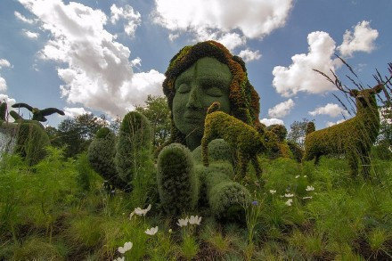 蒙特利尔植物园