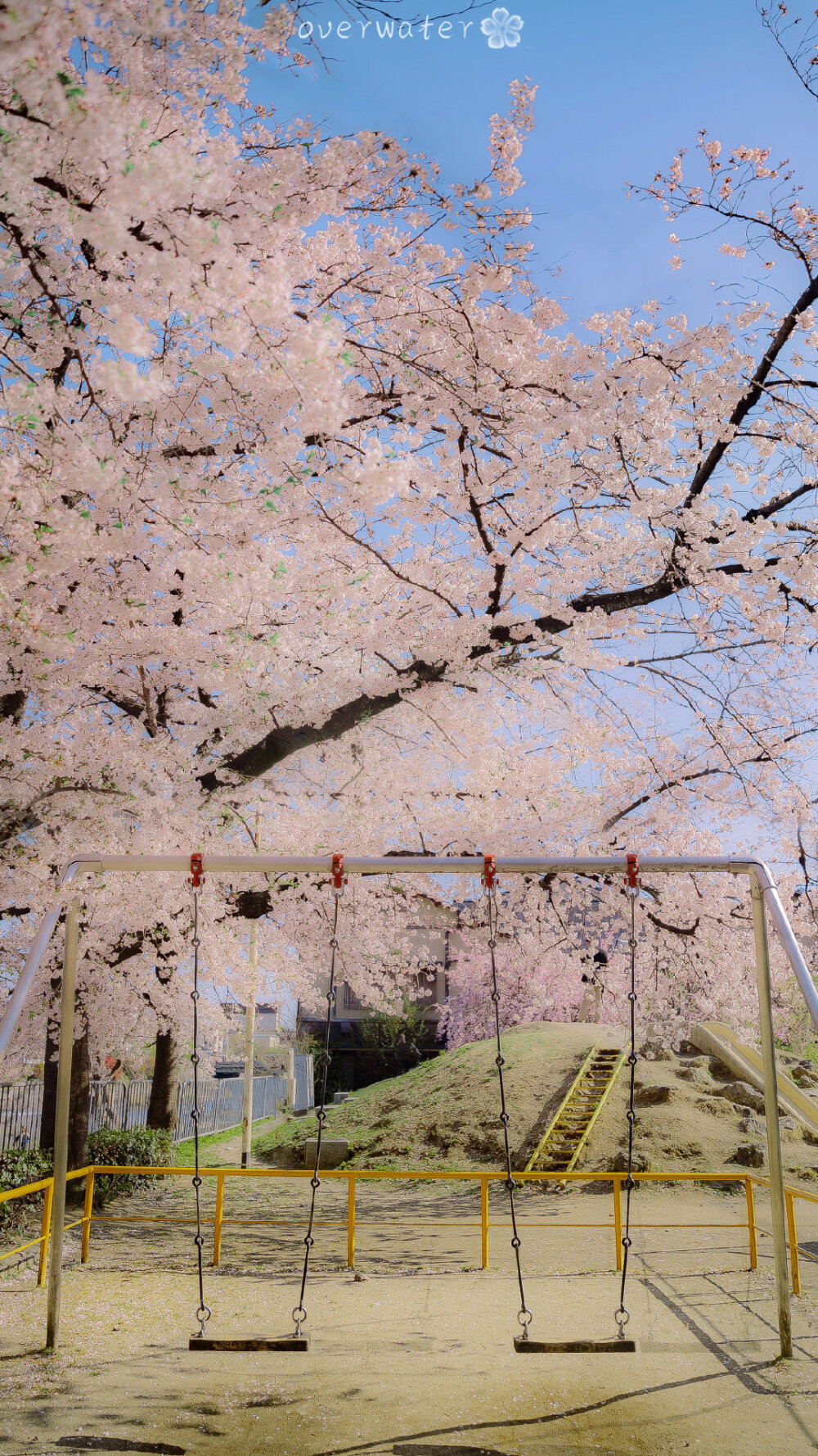 桜.
樱花
壁纸/背景图/聊天背景