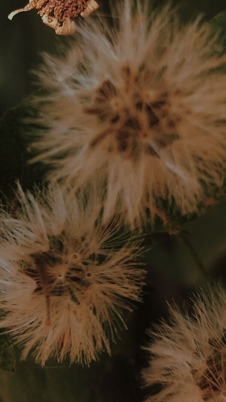 春来百花开，愿你好运来。一朵快乐花，愿你展笑颜；一朵好运花，愿你福相伴；一朵成功花，愿你前途坦；一朵祝福花，愿你心温暖。立春到了，愿你春风得意，幸福安康！