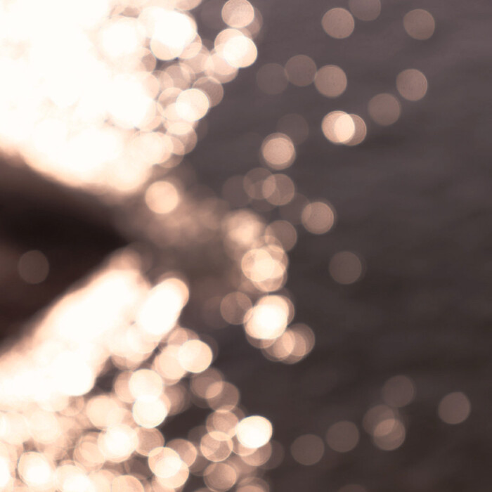 我找到你了 我的先生
原firstlove_rose
罗婕/严俊渝耀