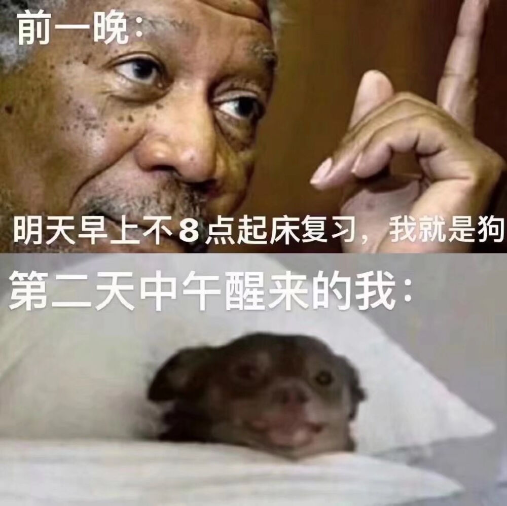 过分沙雕 搞笑