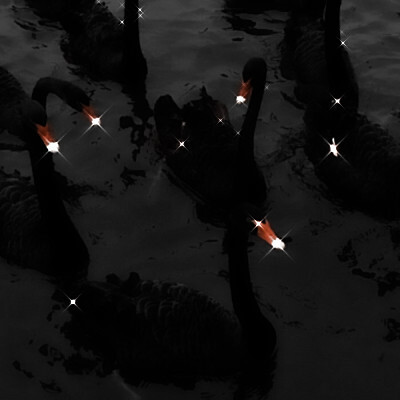 “深夜的黑天鹅往往都是最美丽的”
ks_司佀