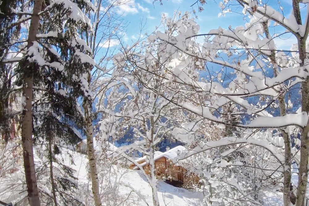 雪景