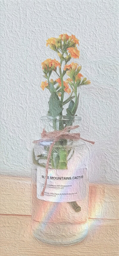 看不见夏日的花，那就选一个无聊的下午一起慵懒吧
（原创，抱图请评论鸭）