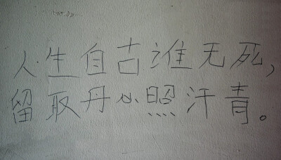 我为什么不是一个塑料袋 一个保温杯 一个便当盒 每天装装自己喜欢的便当多好