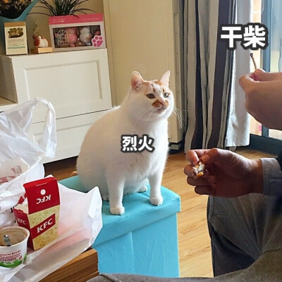 干饭人干饭魂
干饭人专用