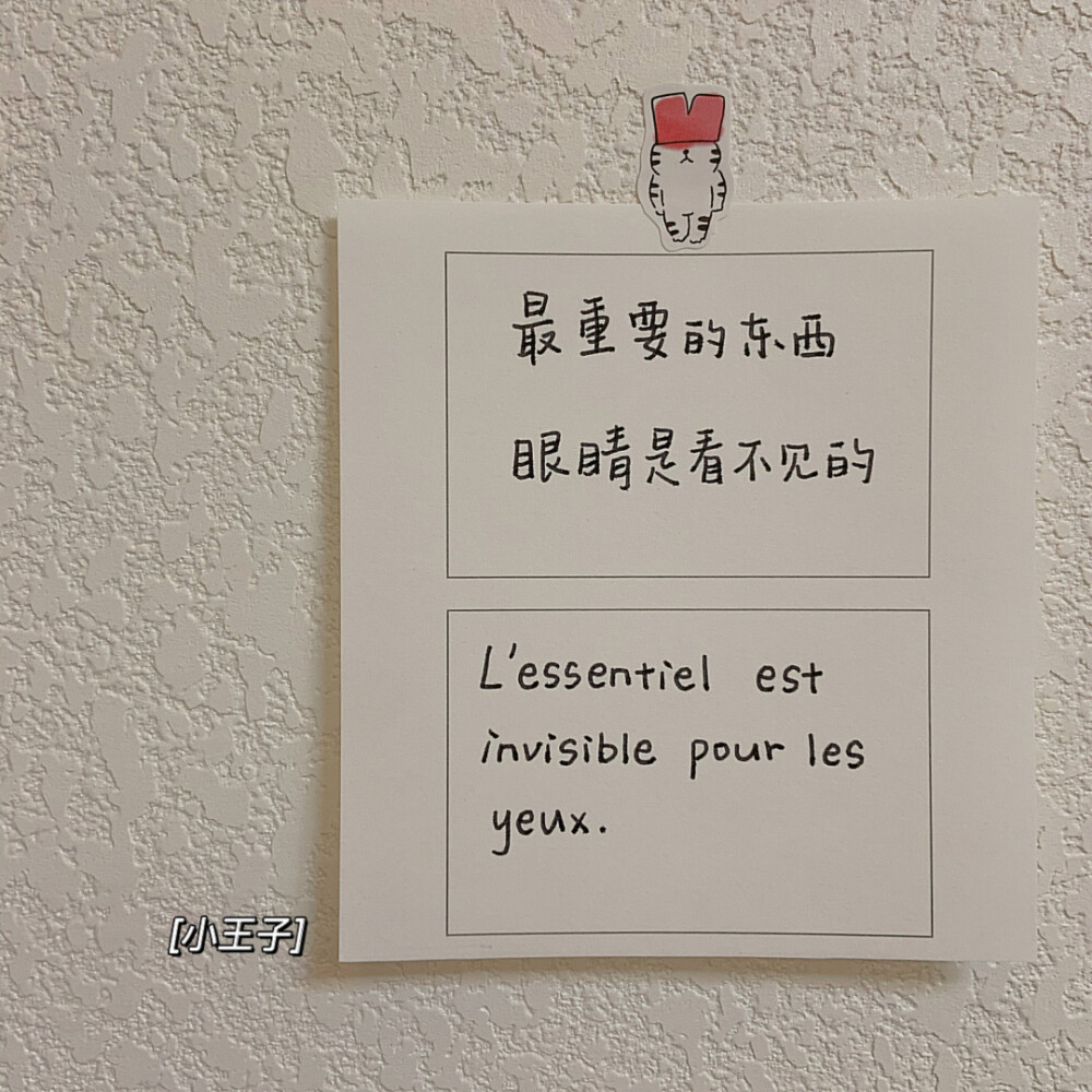 【每日法语】最重要的东西，眼睛是看不见的
生活的美好需要我们用心去感受呀～
©️大南瓜