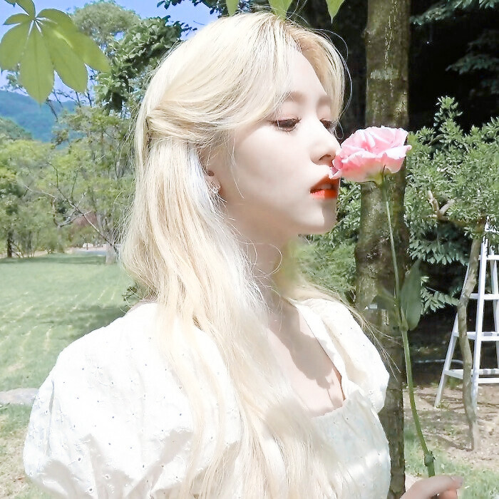 名井南mina
原夏风