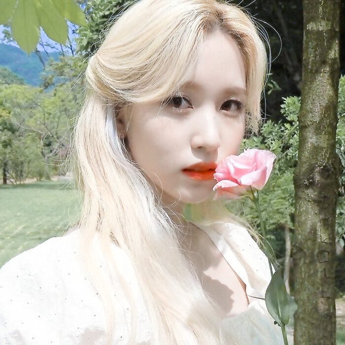 名井南mina
原夏风